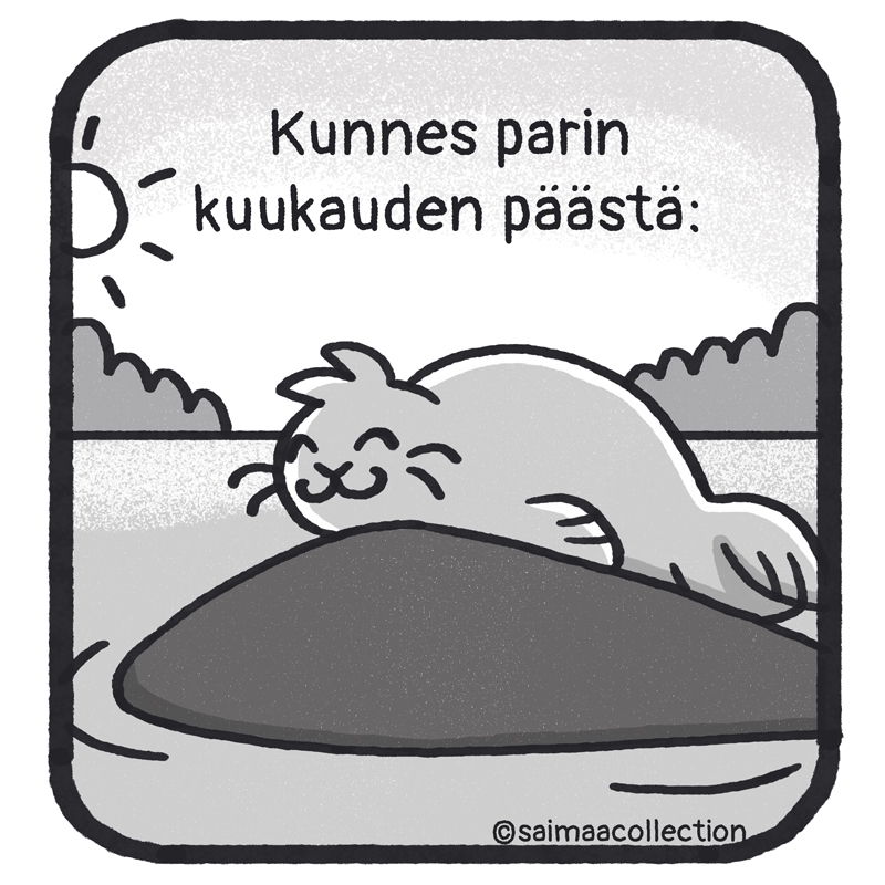 Eräänä päivänä parin kuukauden päästä Sisu-kuutti istuu kotiluodon kivellä.