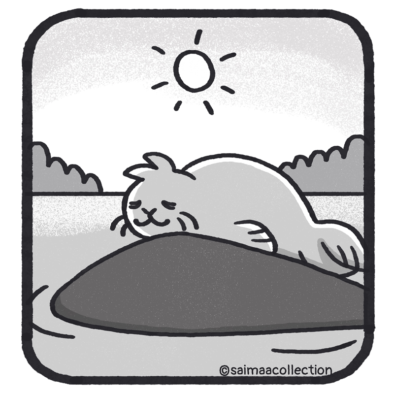 Aika kuluu ja Sisu-kuuttia alkaa väsyttää kivellä makoillessa.