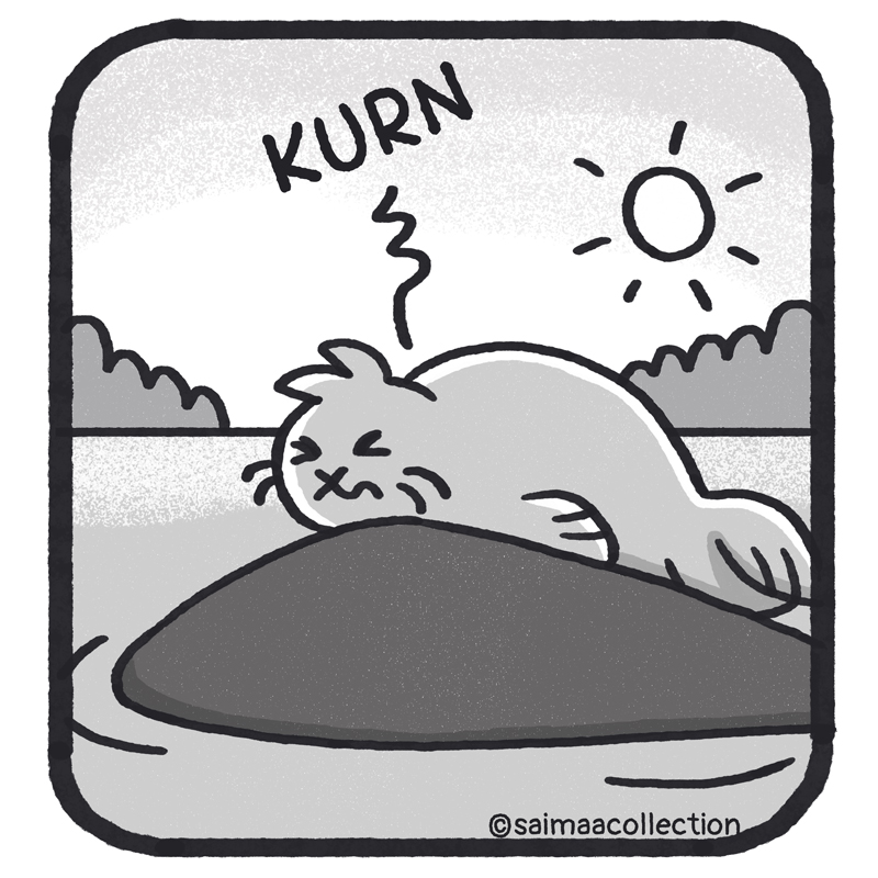 Äkkiä Sisu-kuutin maha alkaa kurnia.