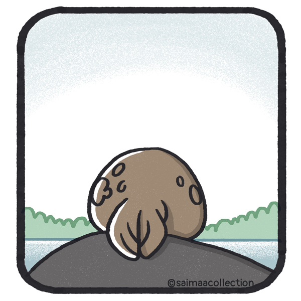 Pulska Tarmo-norppa köllöttelee kalliolla nauttien elämästä.