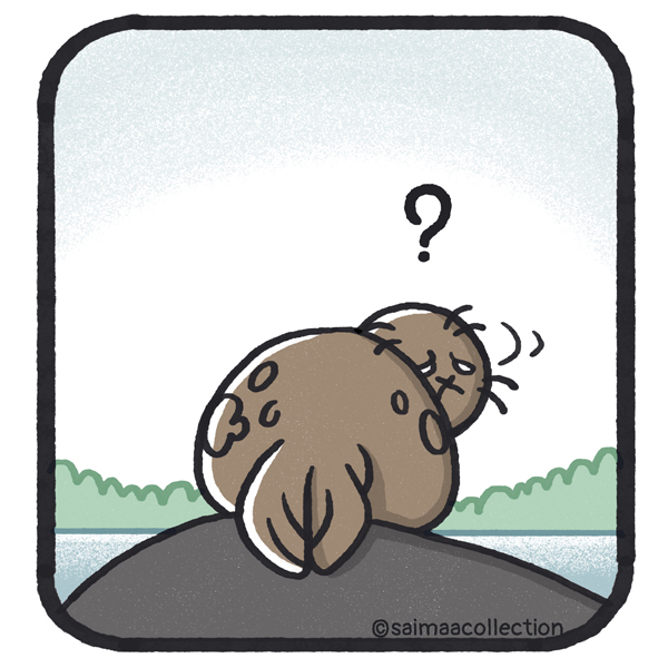 Tarmo-norppa huomaa jotain ja kääntyy katsomaan taakseen. "?"