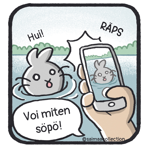 Sisu-kuutti säikähtää puhelimen kameraa.