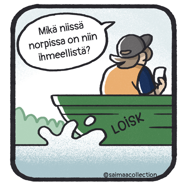 Sisu-kuutti sukeltaa pakoon teinin palatessa puhelimen ääreen.