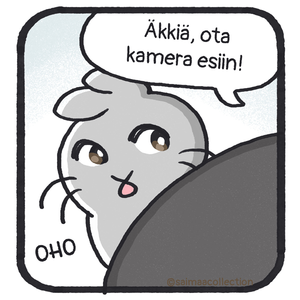 Sisu-kuutti kurkkii kiven takaa. Äkkiä, ota kamera esiin!