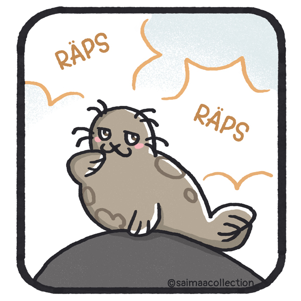 Tuntematon norppa poseeraa kameralle.