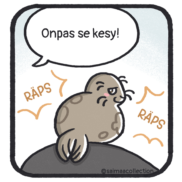 Tuntematon norppa poseeraa kameralle toisessa  asennossa. Onpas se kesy!