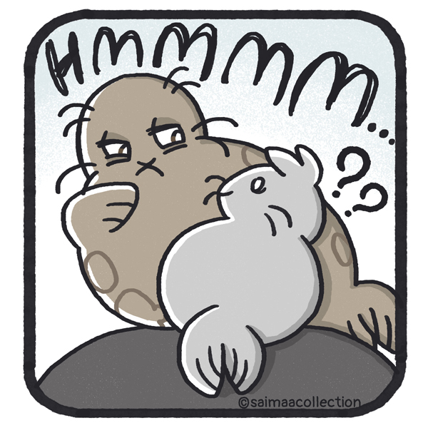 HMMMM... Kaino-norppa tuijottaa hämmentynyttä Sisu-kuuttia.