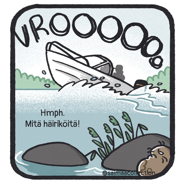 Moottorivene ajaa kovaa vauhtia ohi Tarmo-norpan piileskellessä kiven takana. Hmph. Mitä häiriköitä!