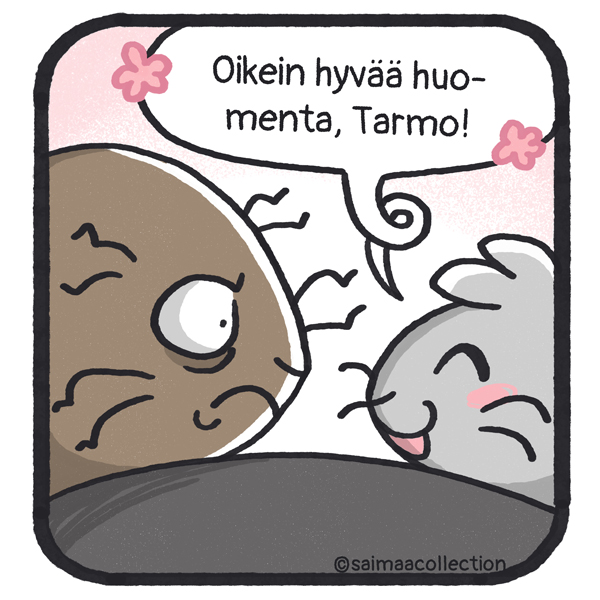 Sisu-kuutti onkin vastassa kivellä. Oikein hyvää huomenta, Tarmo!