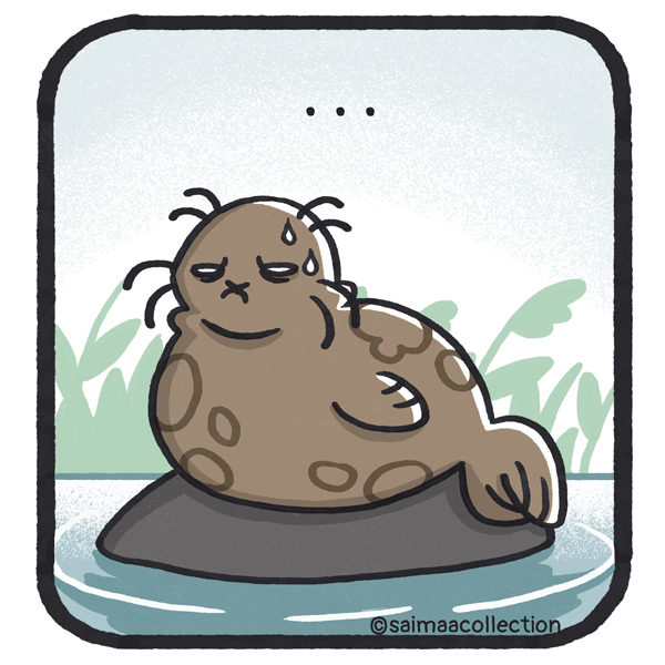 Tarmo-norppa nyrpistää nenäänsä.