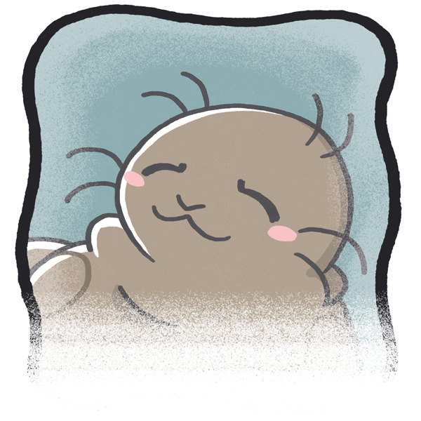 Nuori Tarmo-norppa hymyilee.