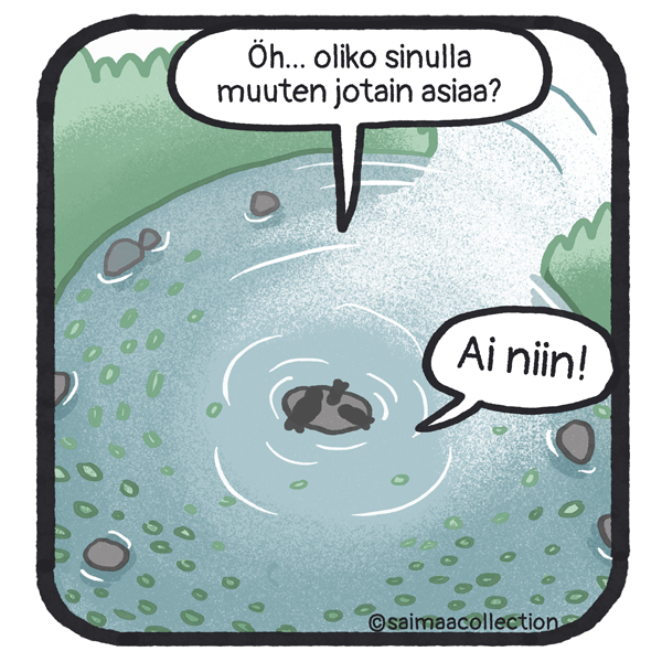 Öh... Oliko sinulla muuten jotain asiaa. Ai niin!