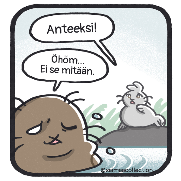 Tarmo nostaa päänsä vedestä ja Sisu-kuutti katsoo kiveltä. Anteeksi! Öhöm... Ei se mitään.