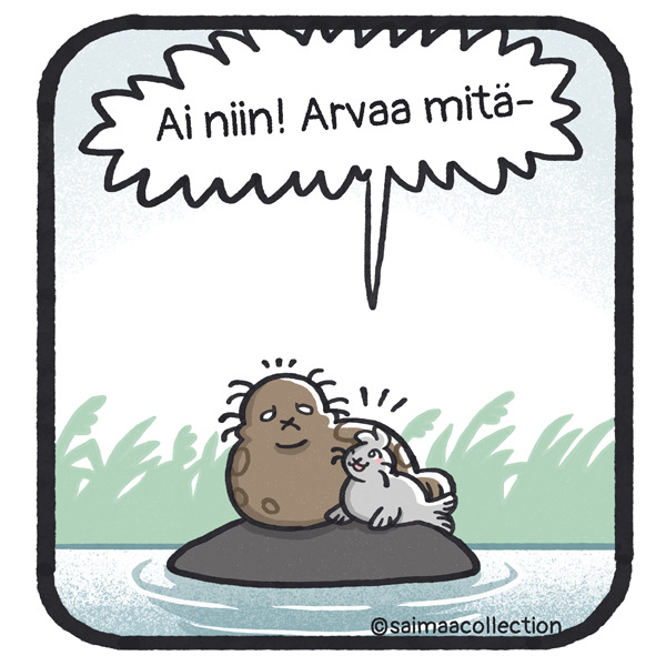 Sisu ja Tarmo ovat takaisin kivellä ja Sisu-kuutti innostuu. Ai niin! Arvaa mitä-