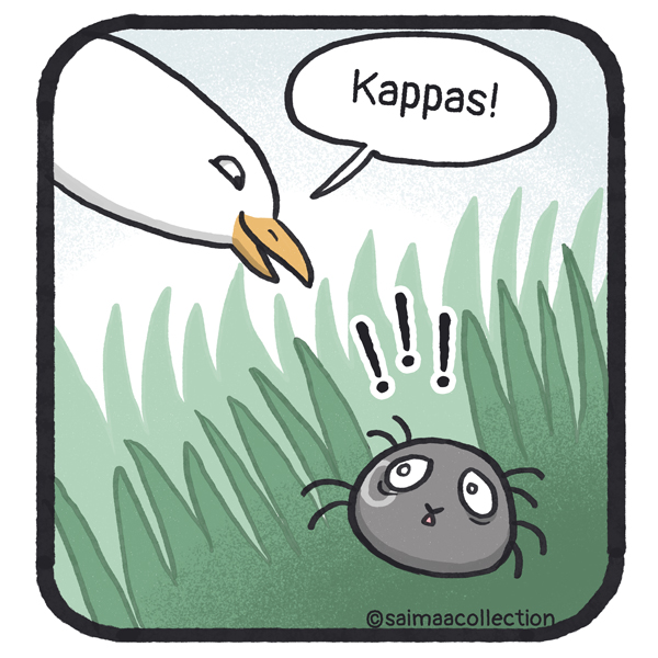 Kappas! Lokki huomaa kuutin kaislikossa.