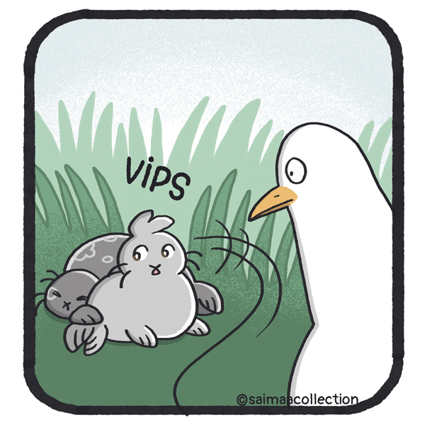 Kuutti piiloutuu Sisu-kuutin taakse. Vips.