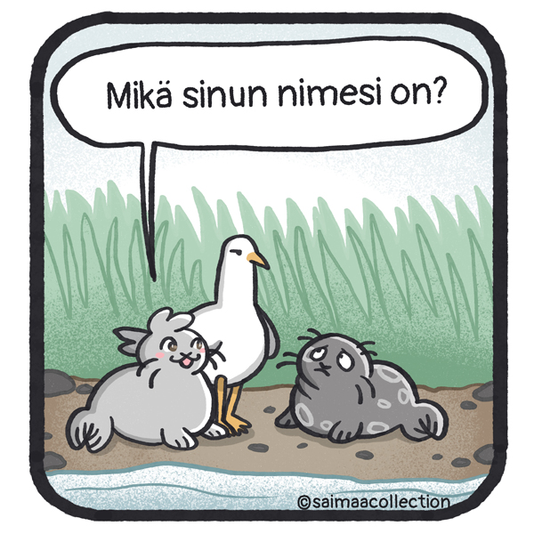 Sisu-kuutti kysyy toiselta kuutilta: Mikä sinun nimesi on?