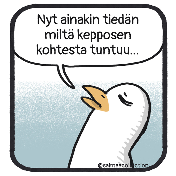 Lasse-lokki näyttää kaihoisalta. Nyt ainakin tiedän miltä kepposen kohteesta tuntuu...