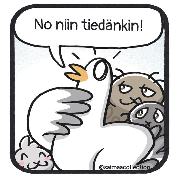 Lasse-lokki älyää: No niin tiedänkin!